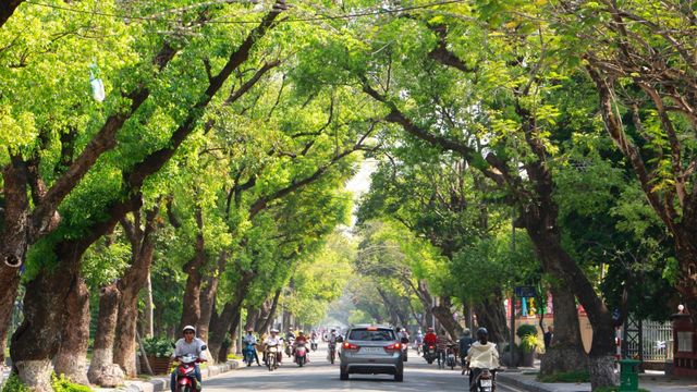 Khám Phá Con Phố Cổ Kính Giữa Lòng Huế - Đường Lê Lợi