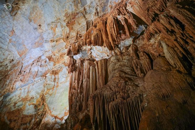 Phong Nha 1 