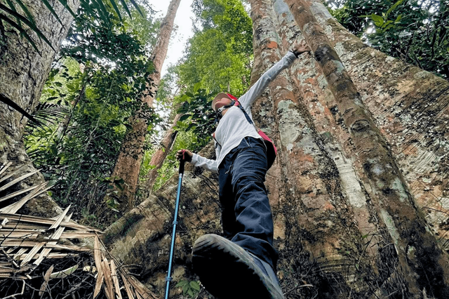 Phòng tránh muỗi và vắt khi đi trekking 