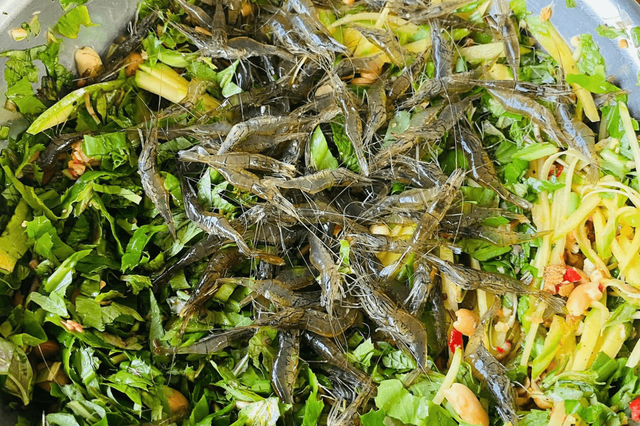 Tép nhảy Bàu Trạng 