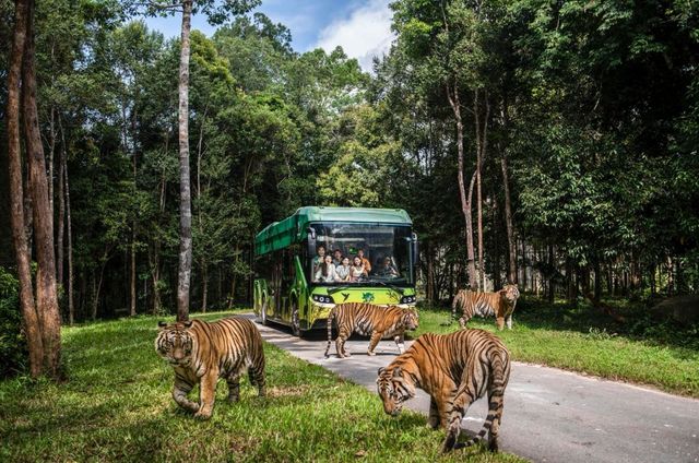 Tour Vinpearl Safari Phú Quốc