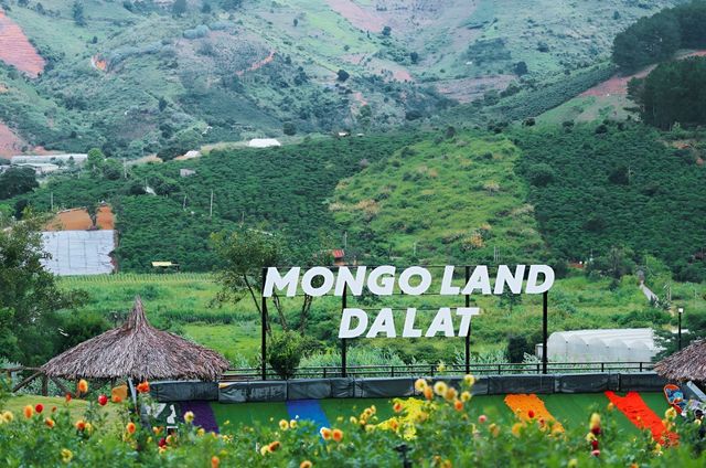 Tour du lịch Đà Lạt 4N3D 