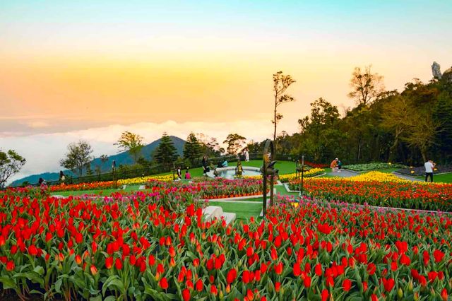 Vườn hoa Le Jardin d'Amour