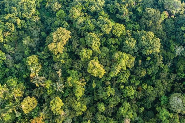 Vườn quốc gia Cúc Phương