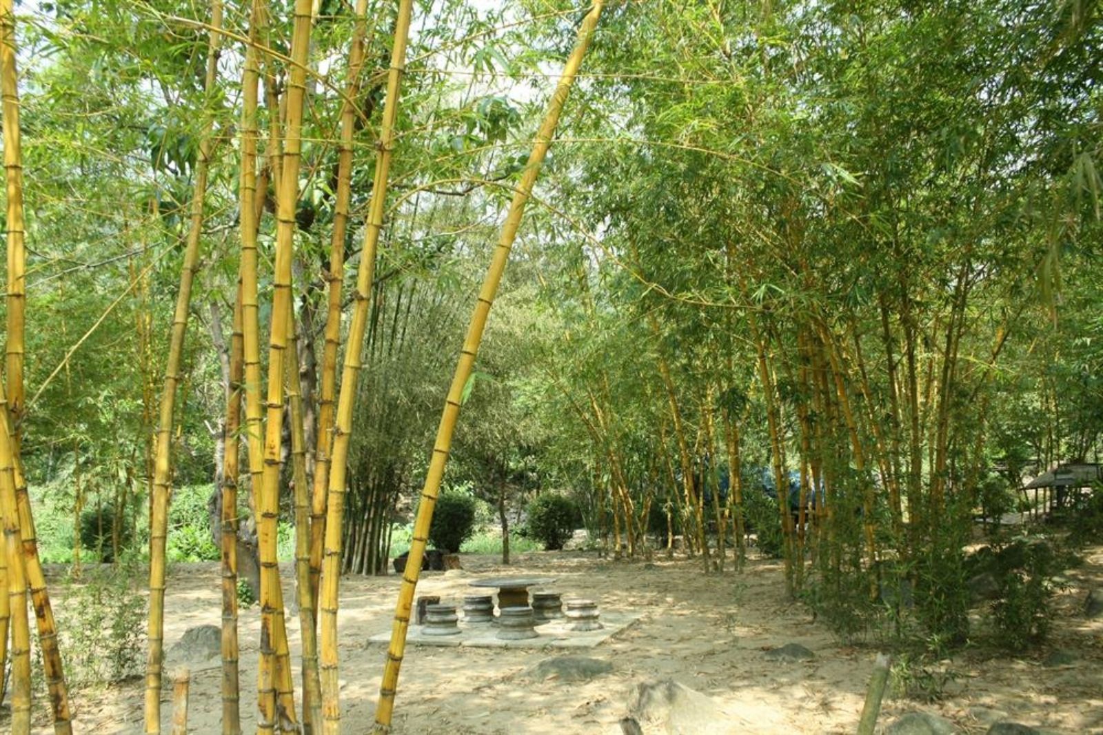 Sơn Trà Tịnh Viên tọa lạc ở bán đảo Sơn Trà