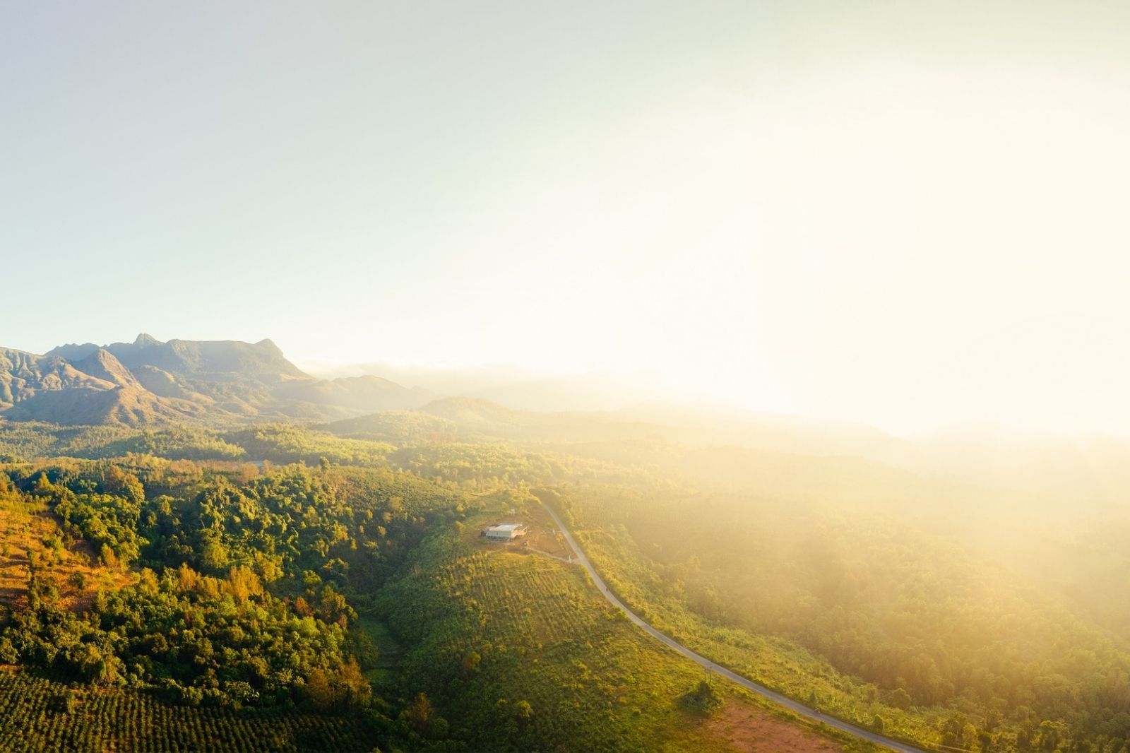 Sương mù phủ kín những cung đường đèo Sa Mù