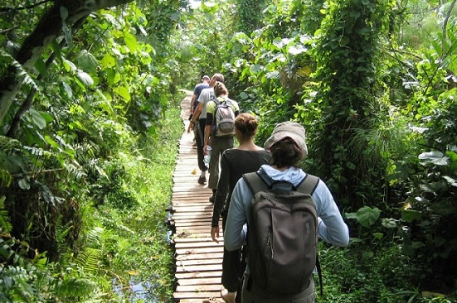 Tham gia tour trekking có hướng dẫn viên