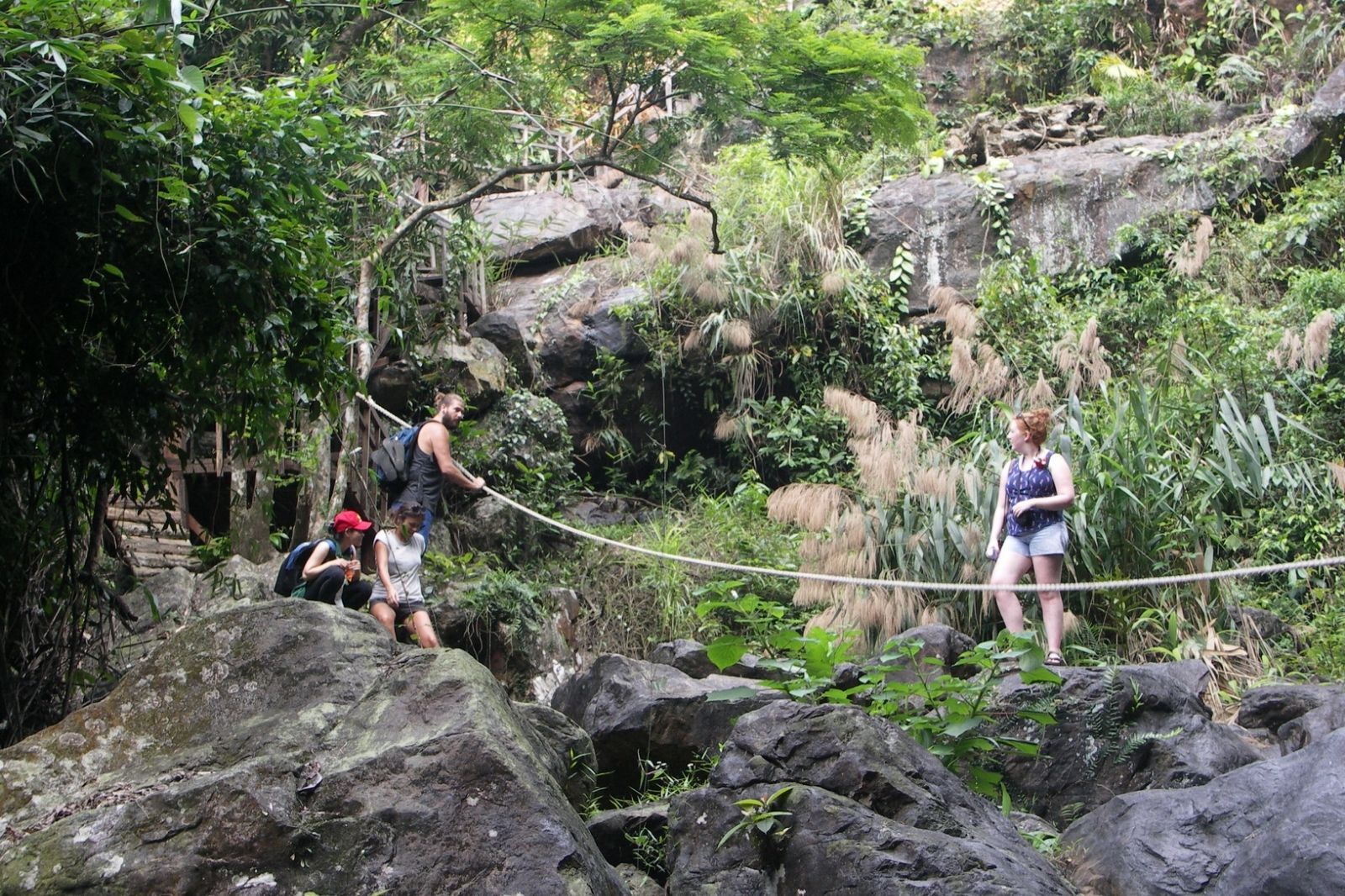 Du khách có thể tham quan tìm hiểu chi tiết hơn ở vườn thực vật