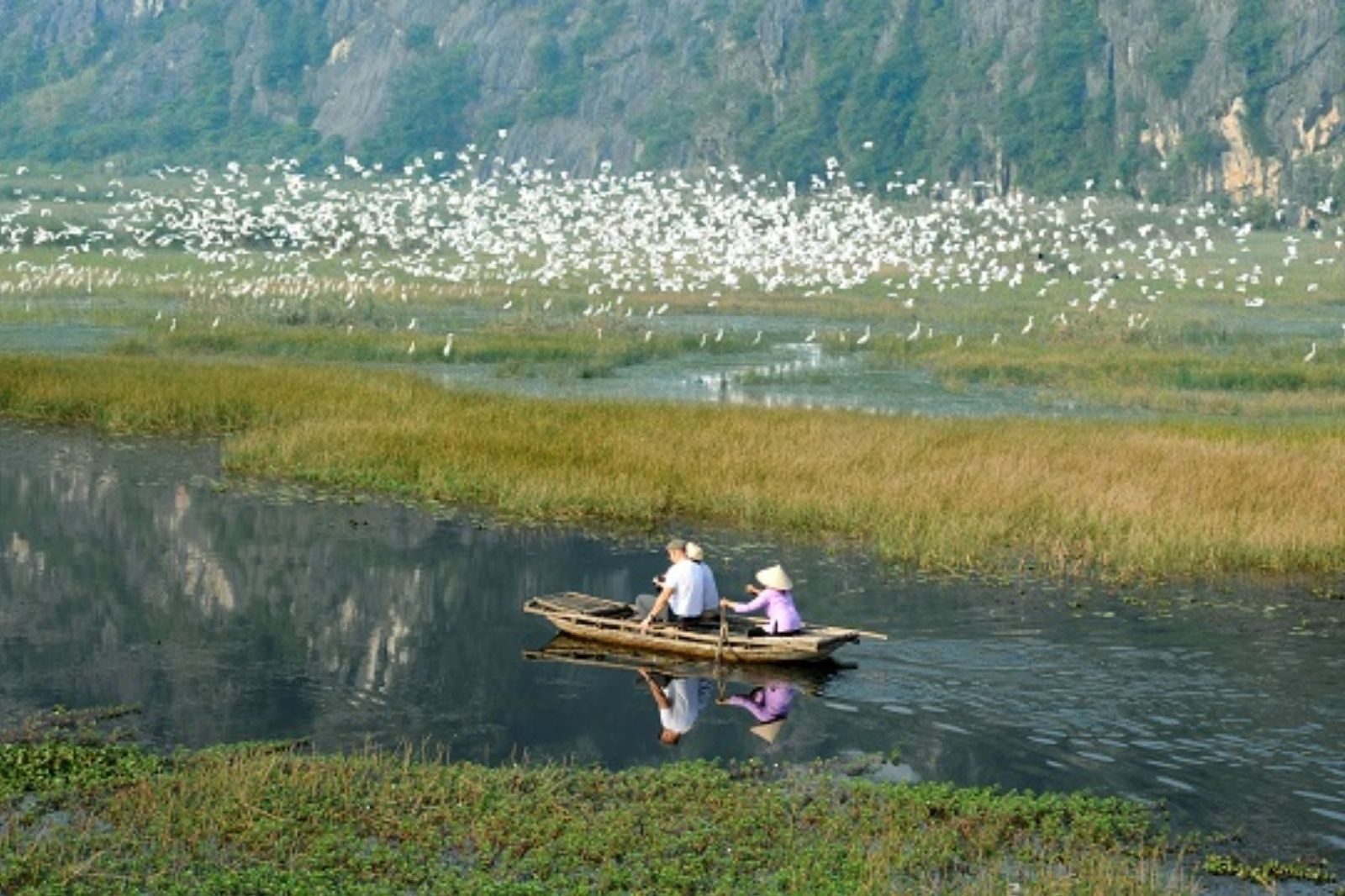 Tham quan Đầm Vân Long mùa chim và cò  