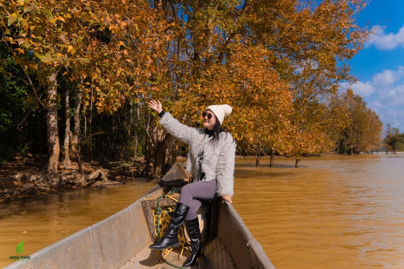 Tham quan rừng phong hương Quảng Trị 