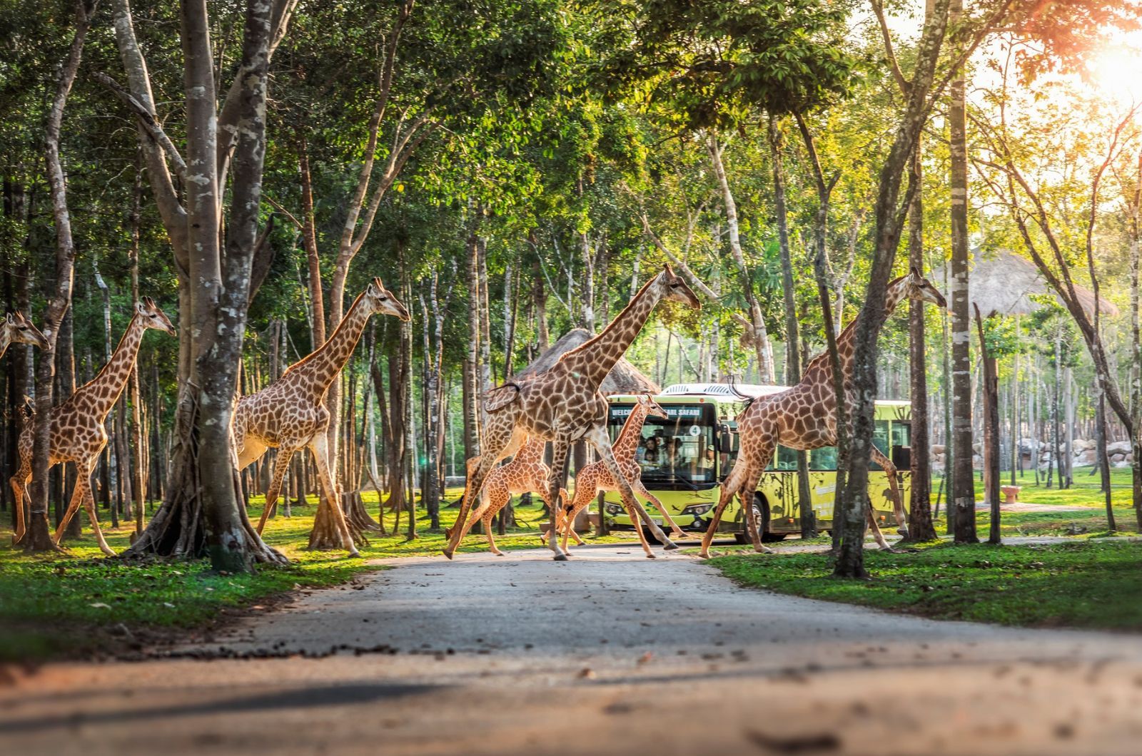 Tham quan sớm giúp du khách có trải nghiệm trọn vẹn hơn  