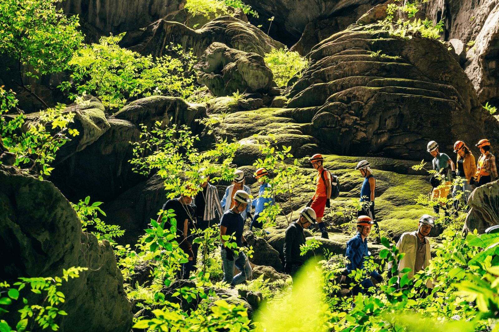 Thảm thực vật xanh mướt trong các hang động 