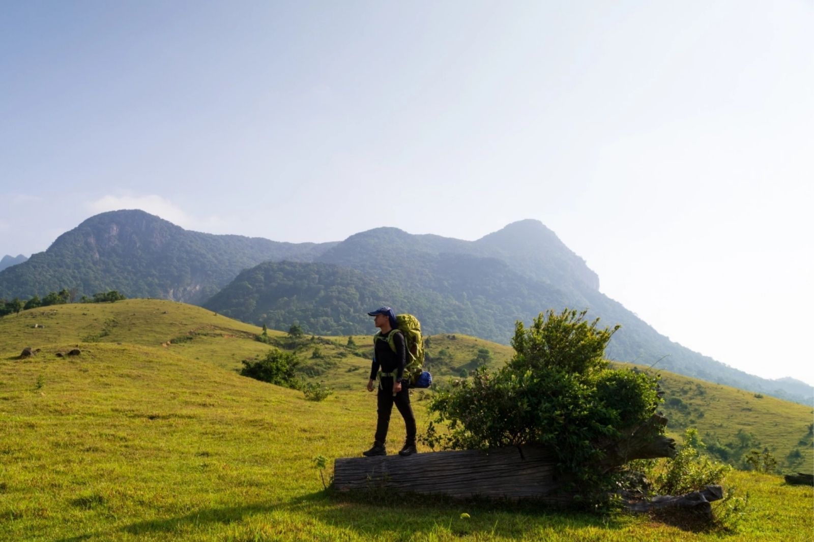 Khám phá thảo nguyên xanh ngát giữa bốn bề núi rừng Quảng Trị