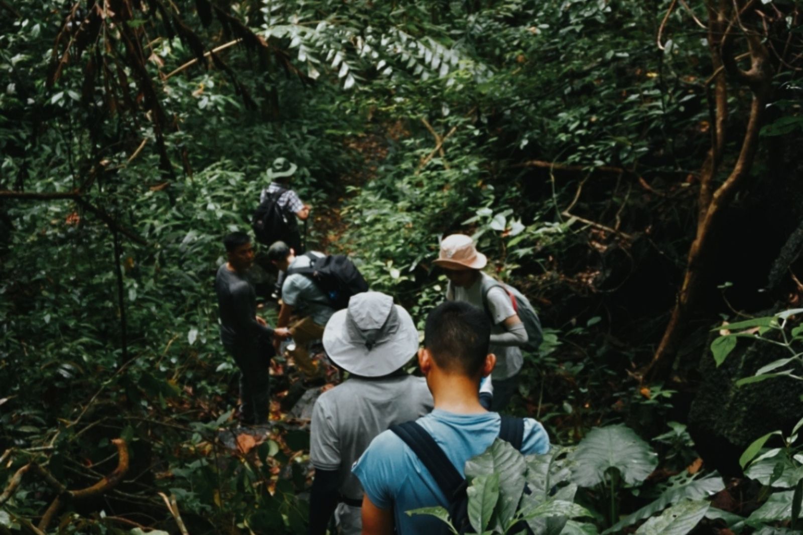 Luôn theo sát đoàn khi đi trekking  
