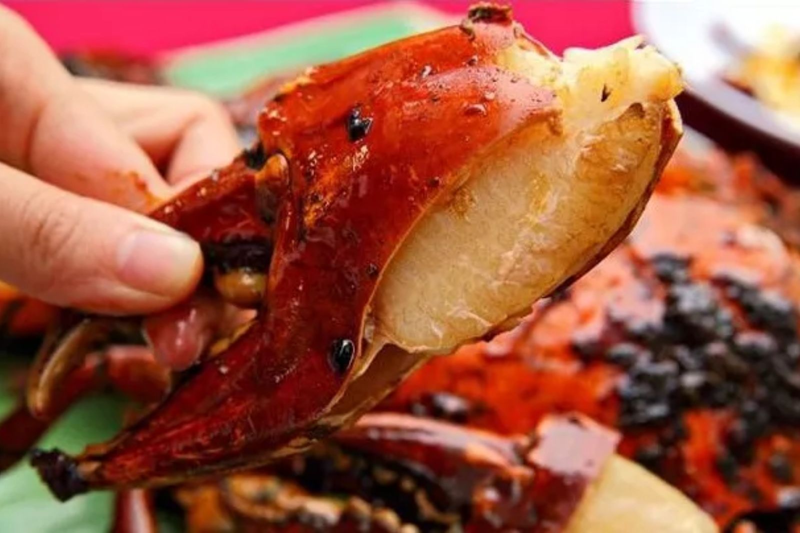 Thịt cua đá chắc ngọt tự nhiên  