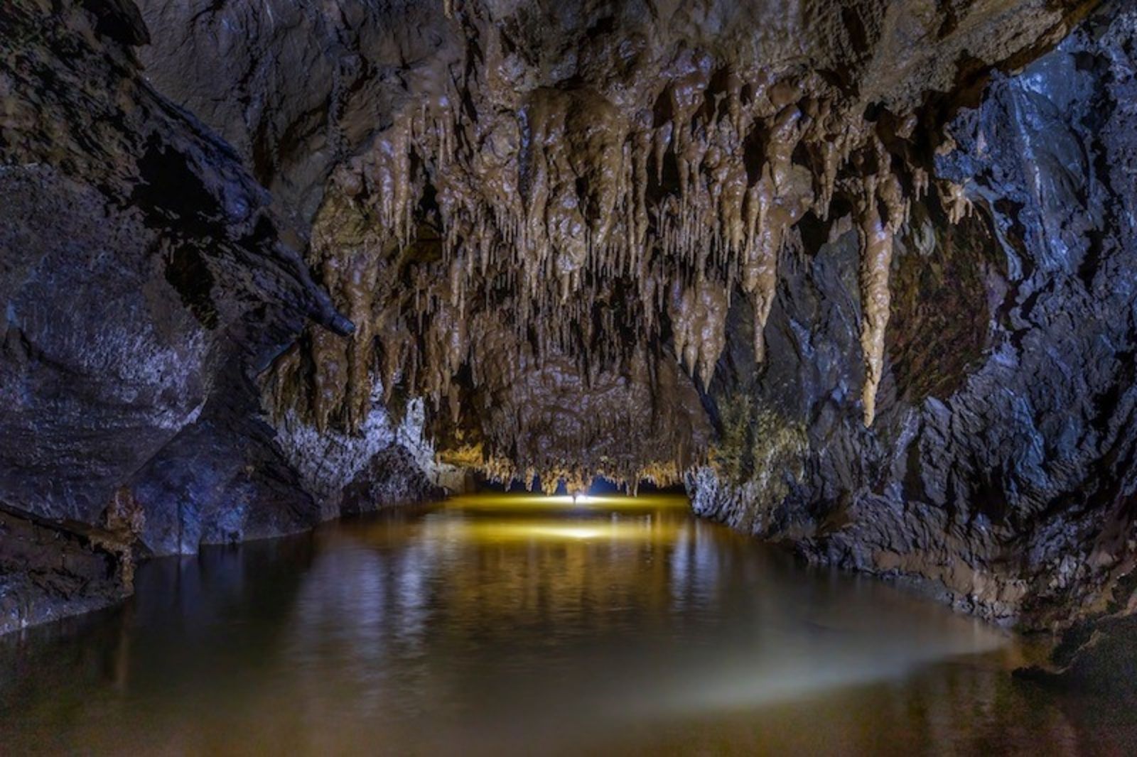 Thời điểm lý tưởng để khám phá là vào mùa hè 