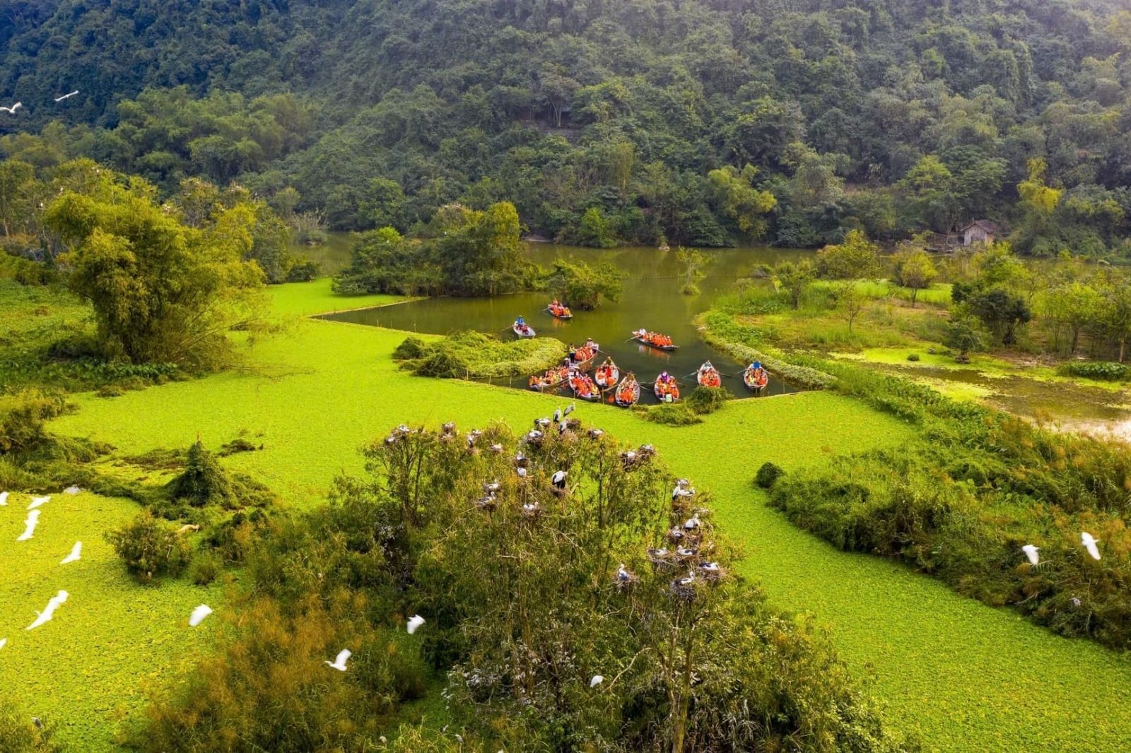 Thung Nham es el hábitat de numerosas especies de aves