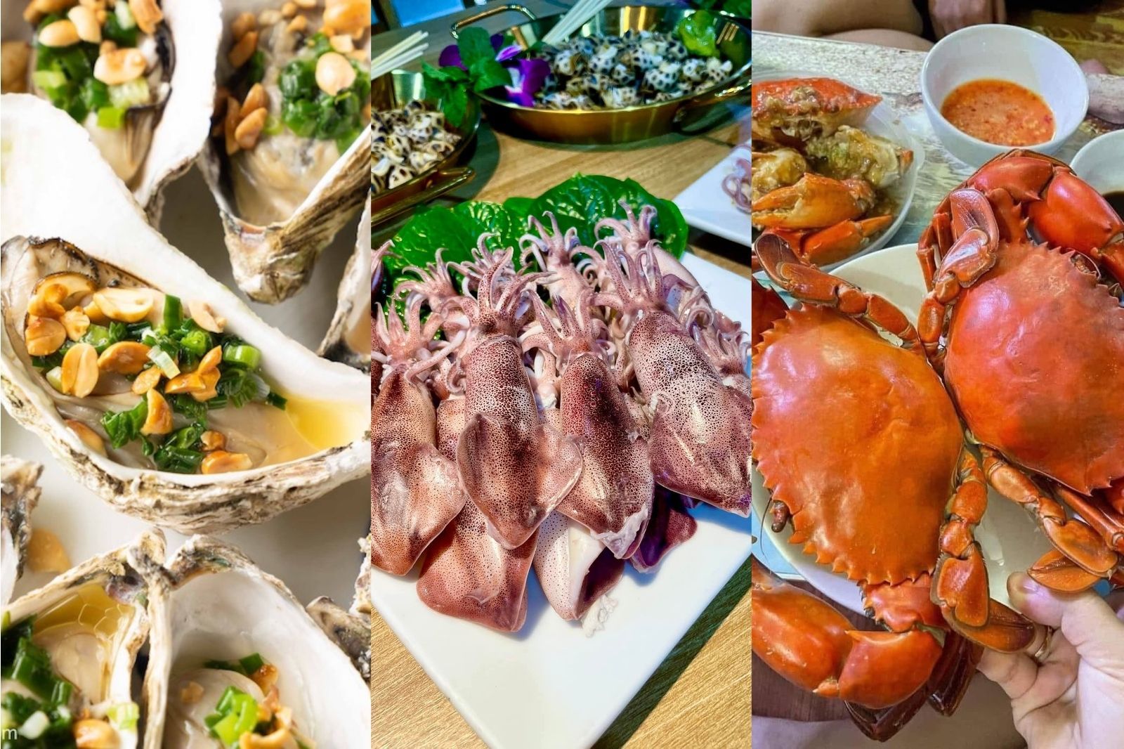 Thưởng thức hải sản tươi ngon 