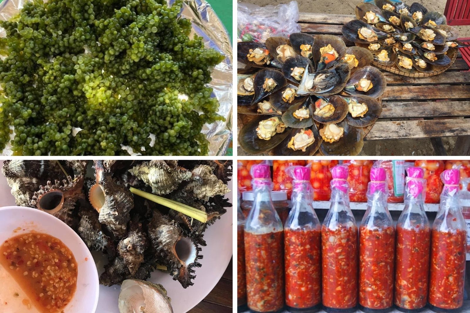 Thưởng thức hải sản và đặc sản mắm sò 