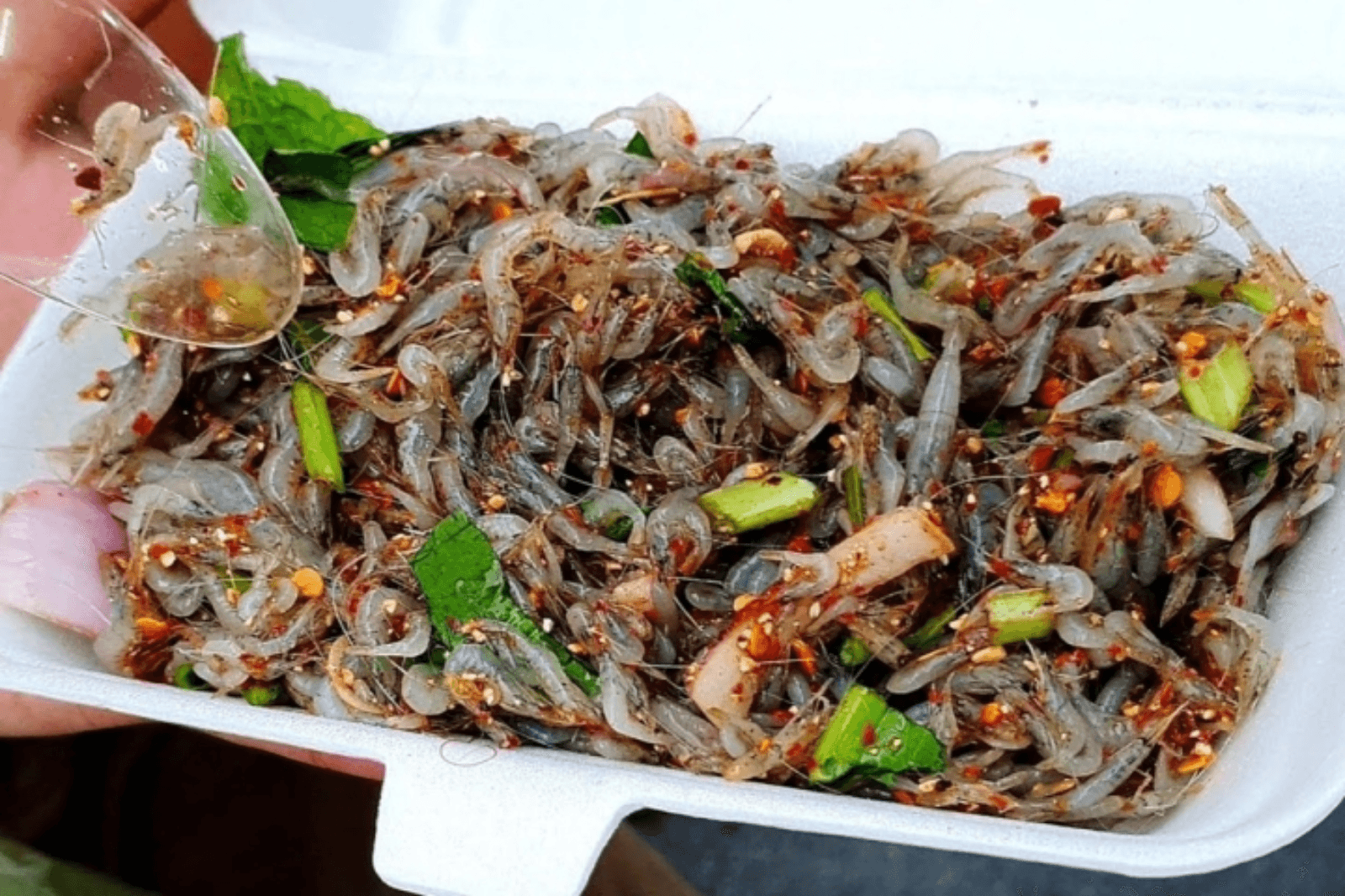 Thưởng thức món ăn tại các quán ven sông ở Bàu Trạng