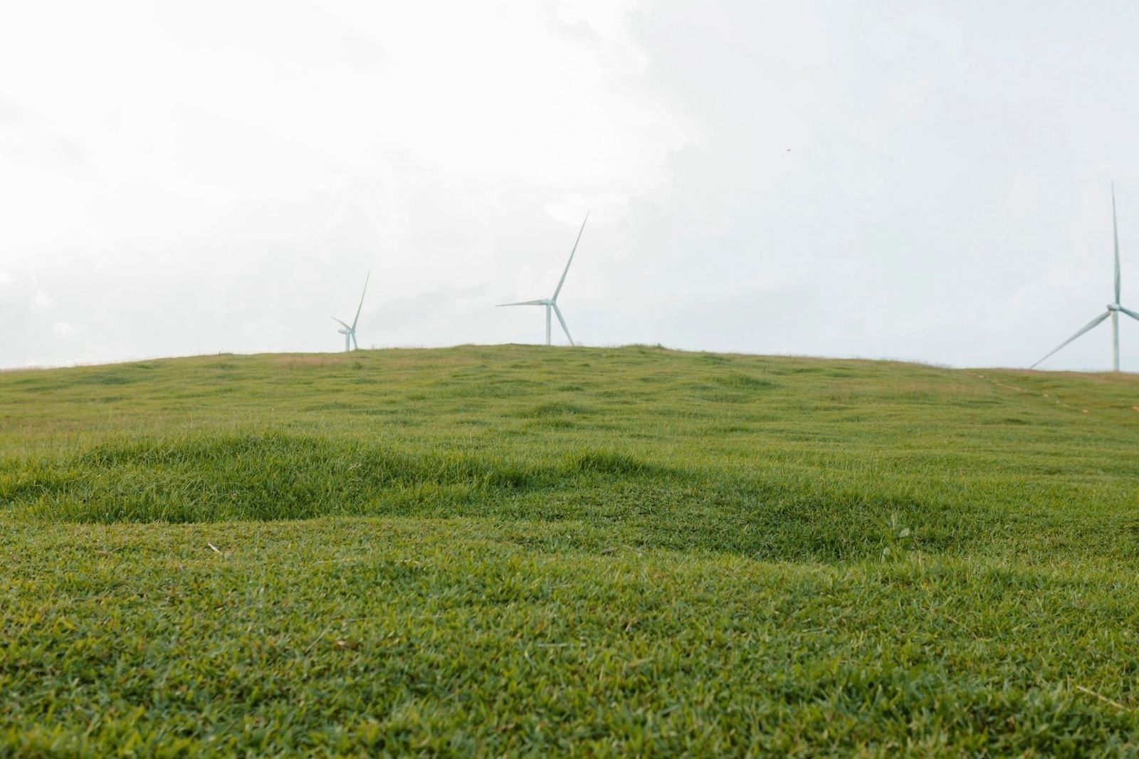 Tìm hiểu thời tiết trước khi đi