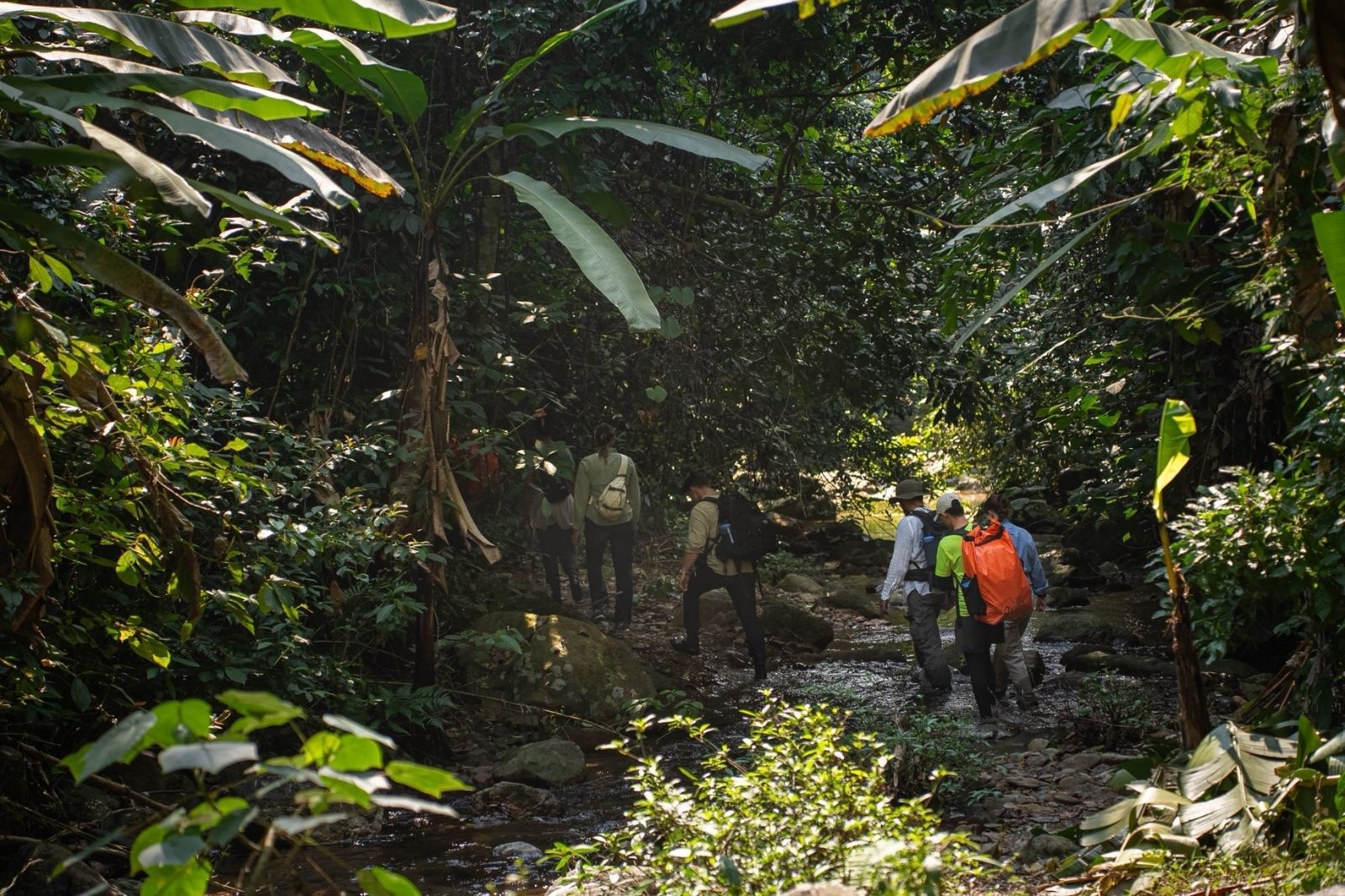 Tour trekking khám phá rừng Phong Nha - Kẻ Bàng