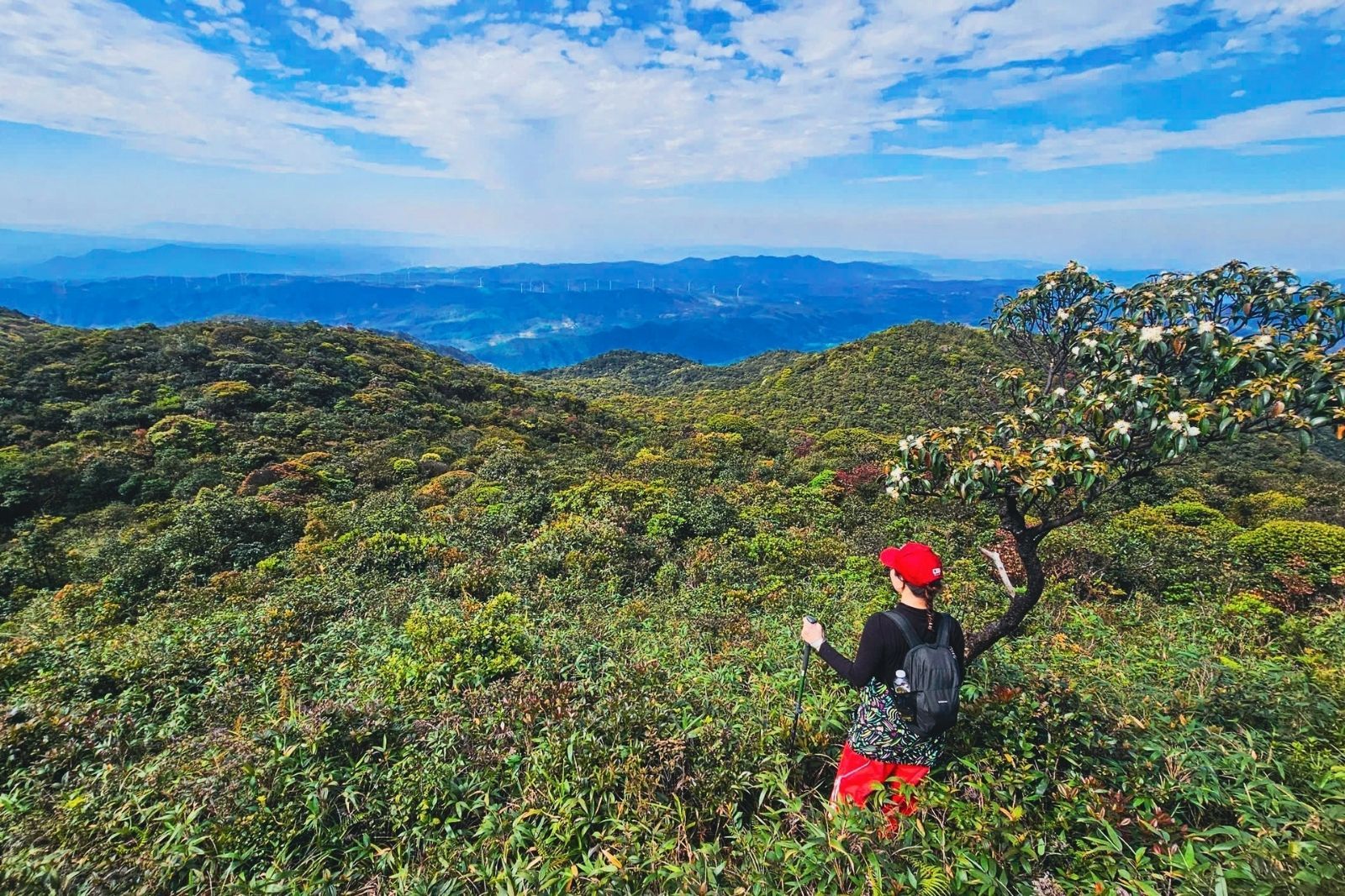 Tour trekking đang được đưa vào nghiên cứu thử nghiệm 