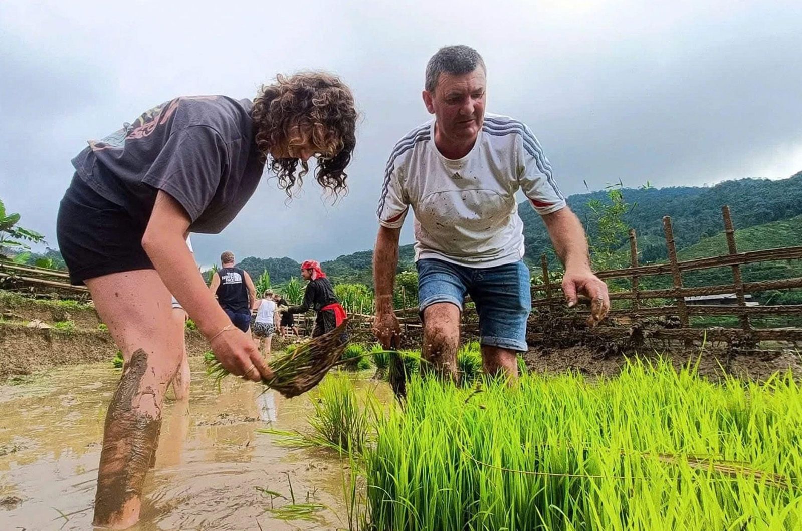 Trải nghiệm cấy lúa