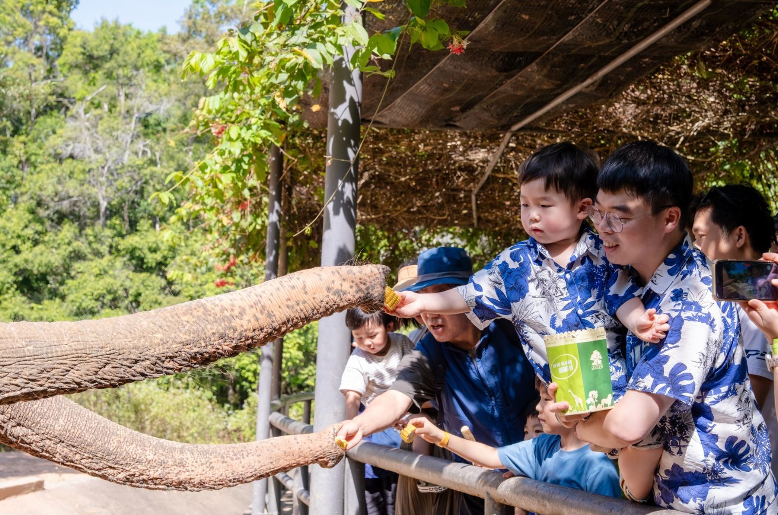 Trải nghiệm cho động vật ăn 