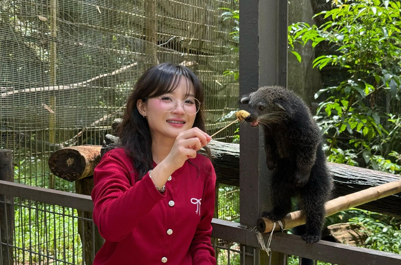 Trải nghiệm cho động vật ăn 