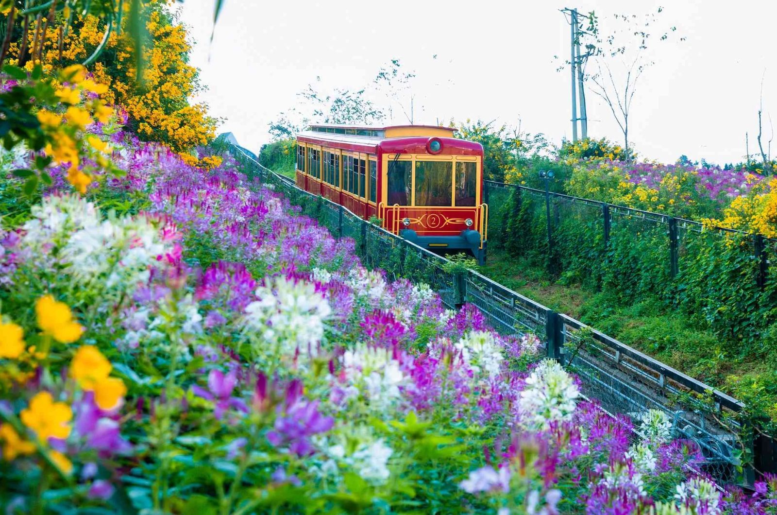 ムオンホア登山列車の乗車体験