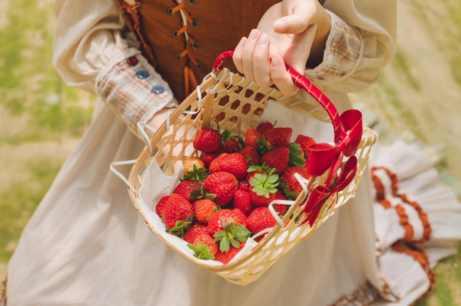 Experiencia de cosecha de fresas en Puppy Farm