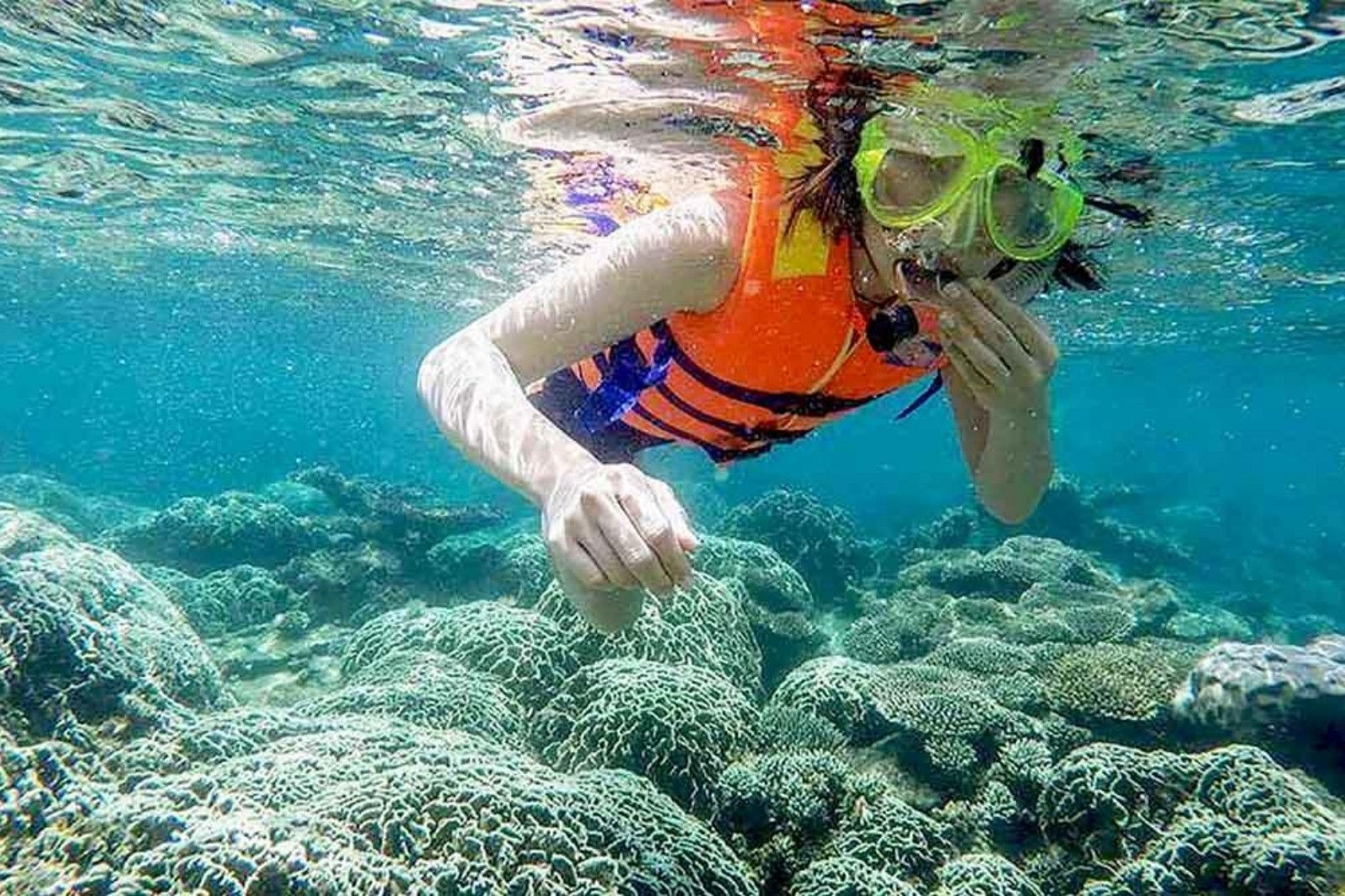 Trải nghiệm lặn biển ngắm san hô dưới đáy biển