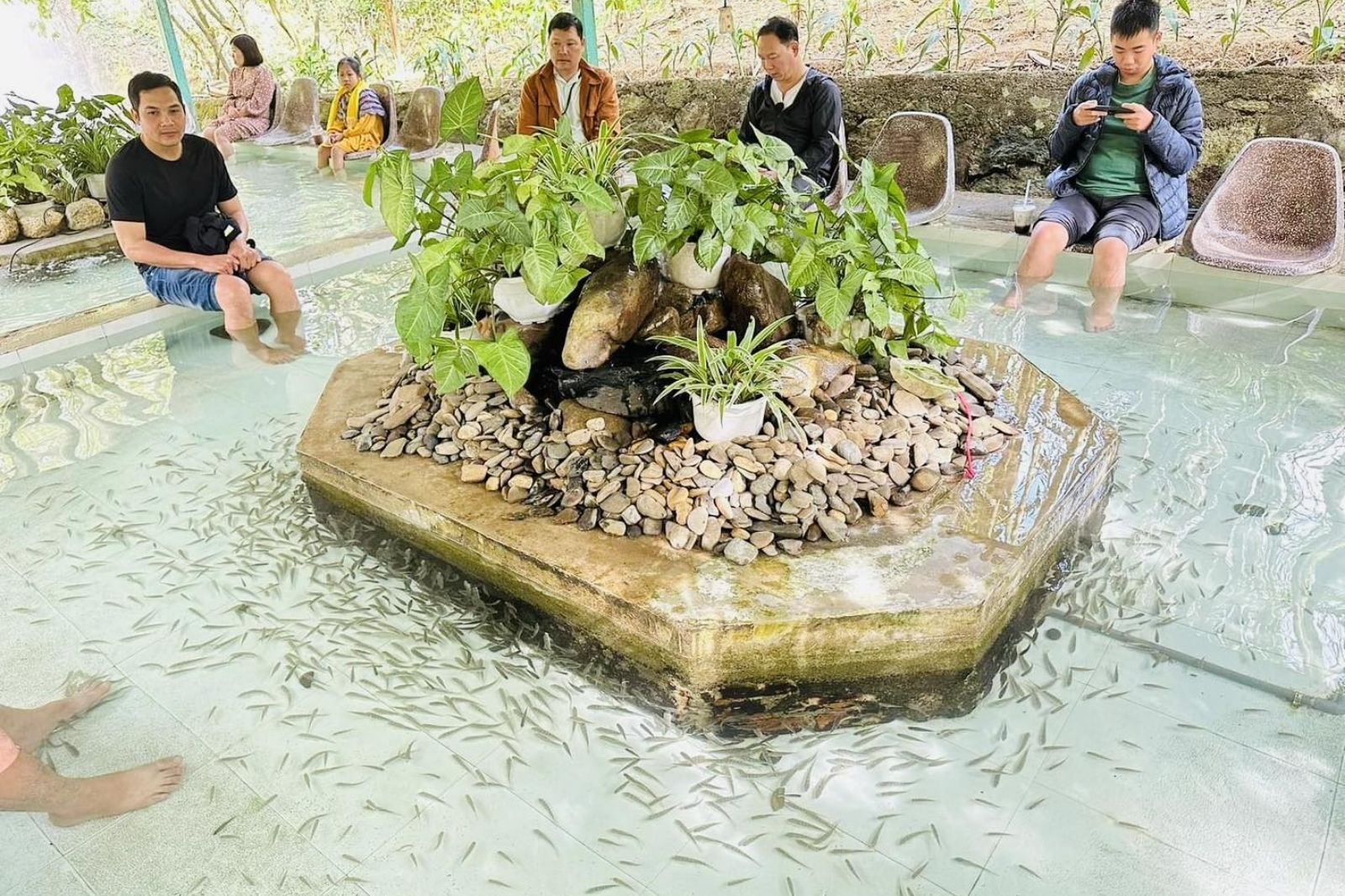 Trải nghiệm massage cá 