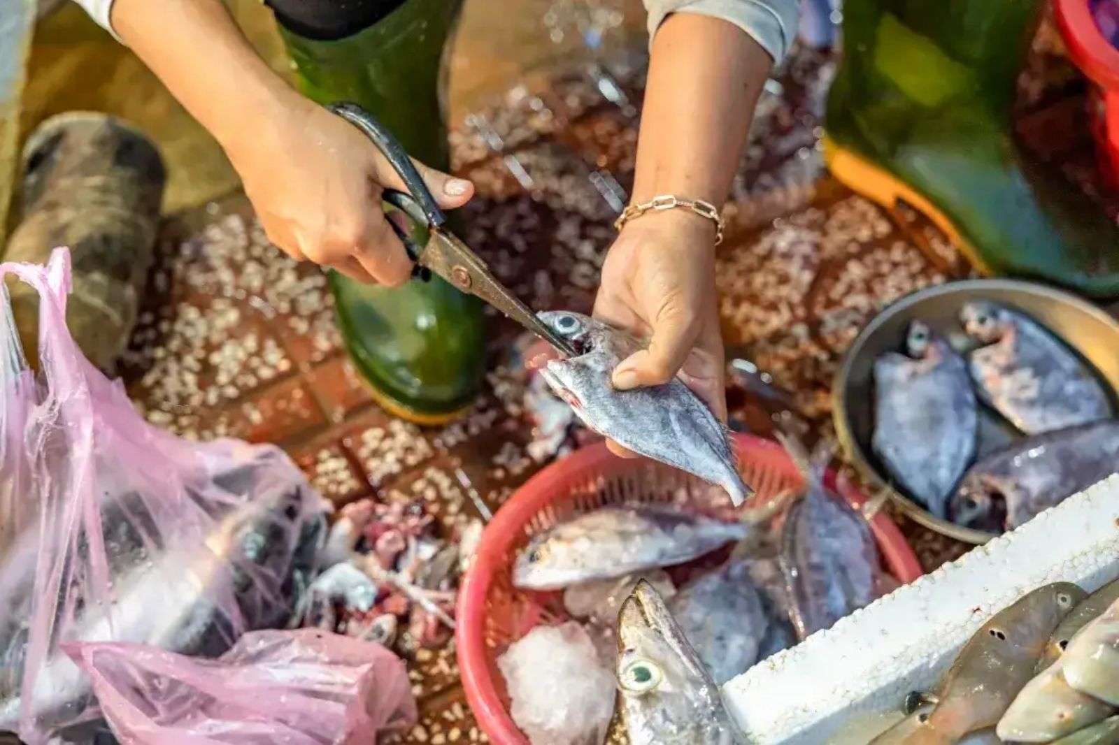 Trải nghiệm mua hải sản tươi ngay tại chợ cá Thanh Hà 