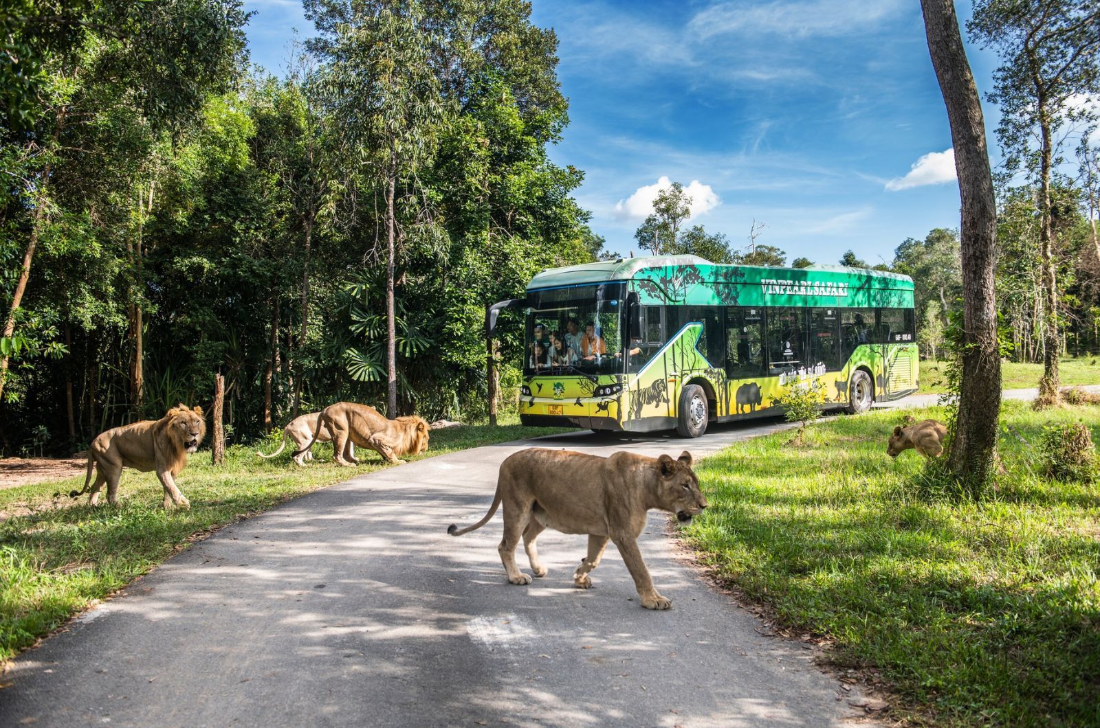 Trải nghiệm ngồi xe buýt chuyên dụng 