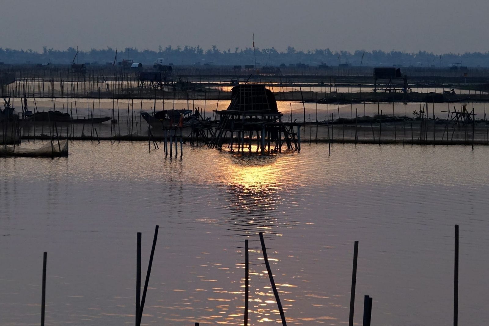 Trải nghiệm những công việc hẳng ngày cùng người dân