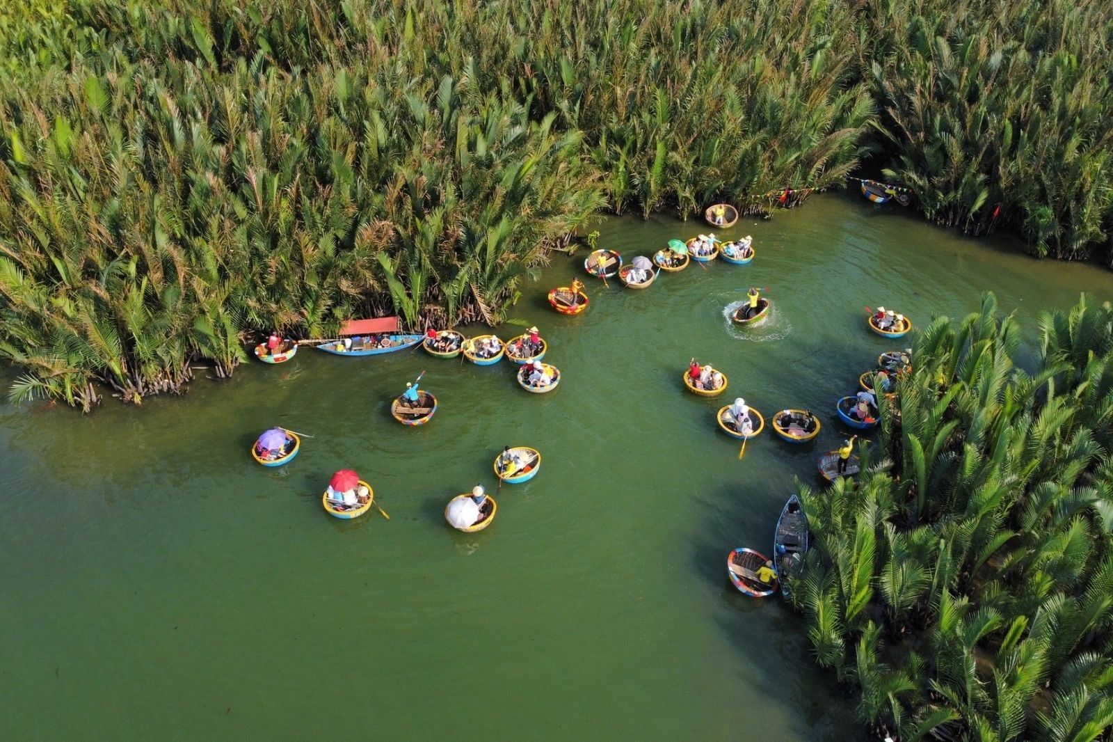 Trải nghiệm thuyền thúng ở rừng dừa Bảy Mẫu 