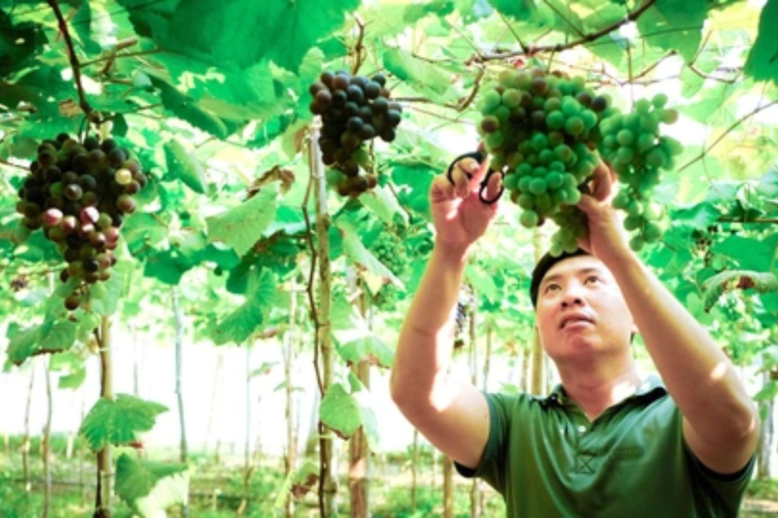 Trải nghiệm trở thành “nông dân” đầy thú vị