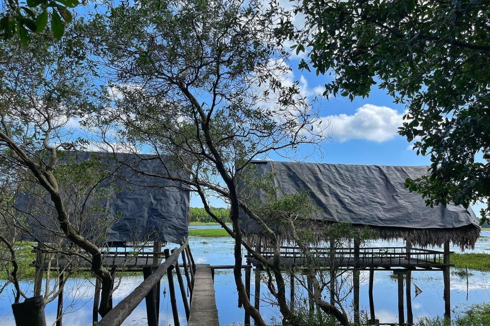 Trằm Trà Lộc được bao bọc bởi cánh rừng nguyên sinh và hồ nước rộng lớn