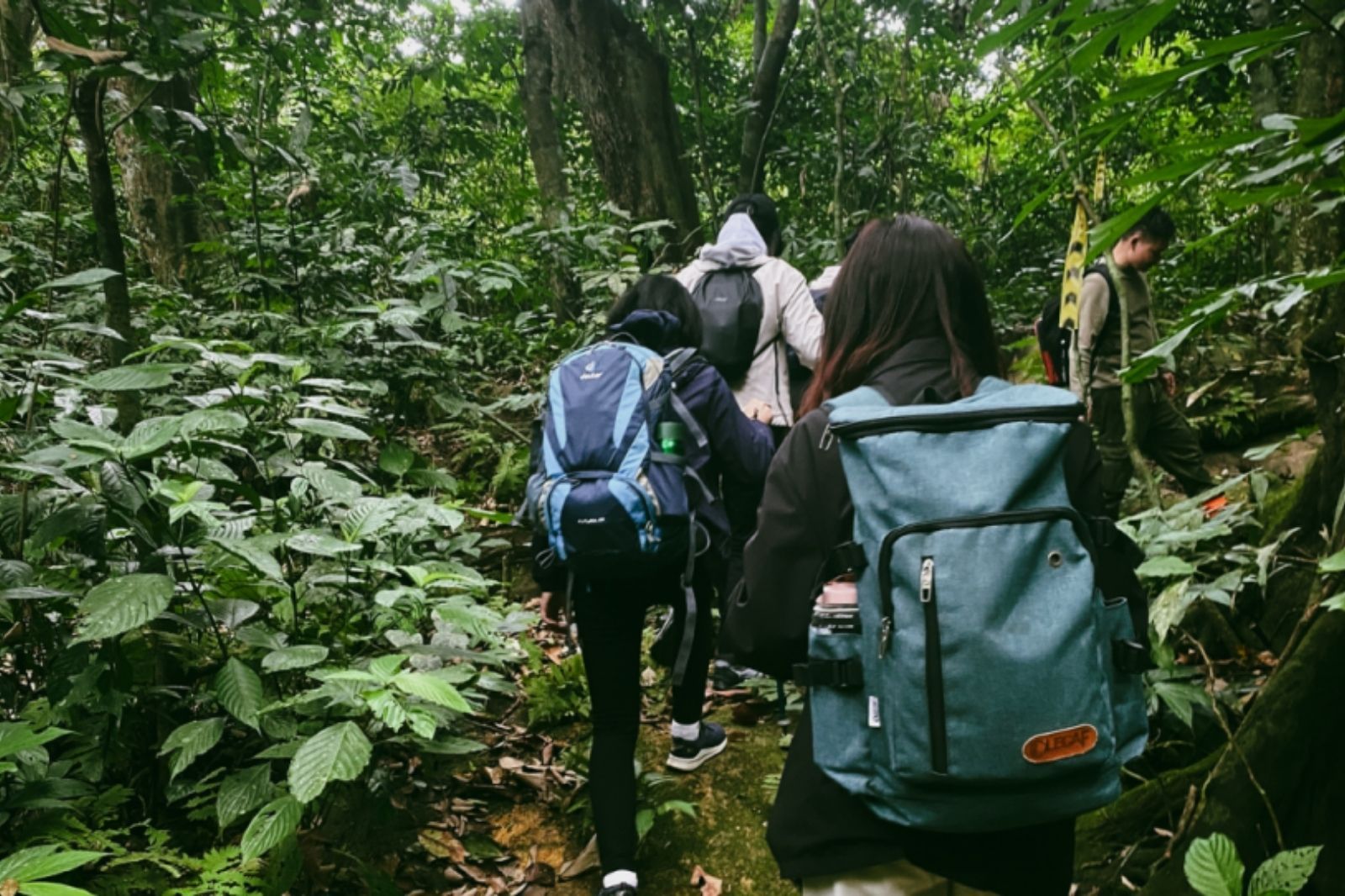 Trekking cùng hướng dẫn viên để đảm bảo an toàn 