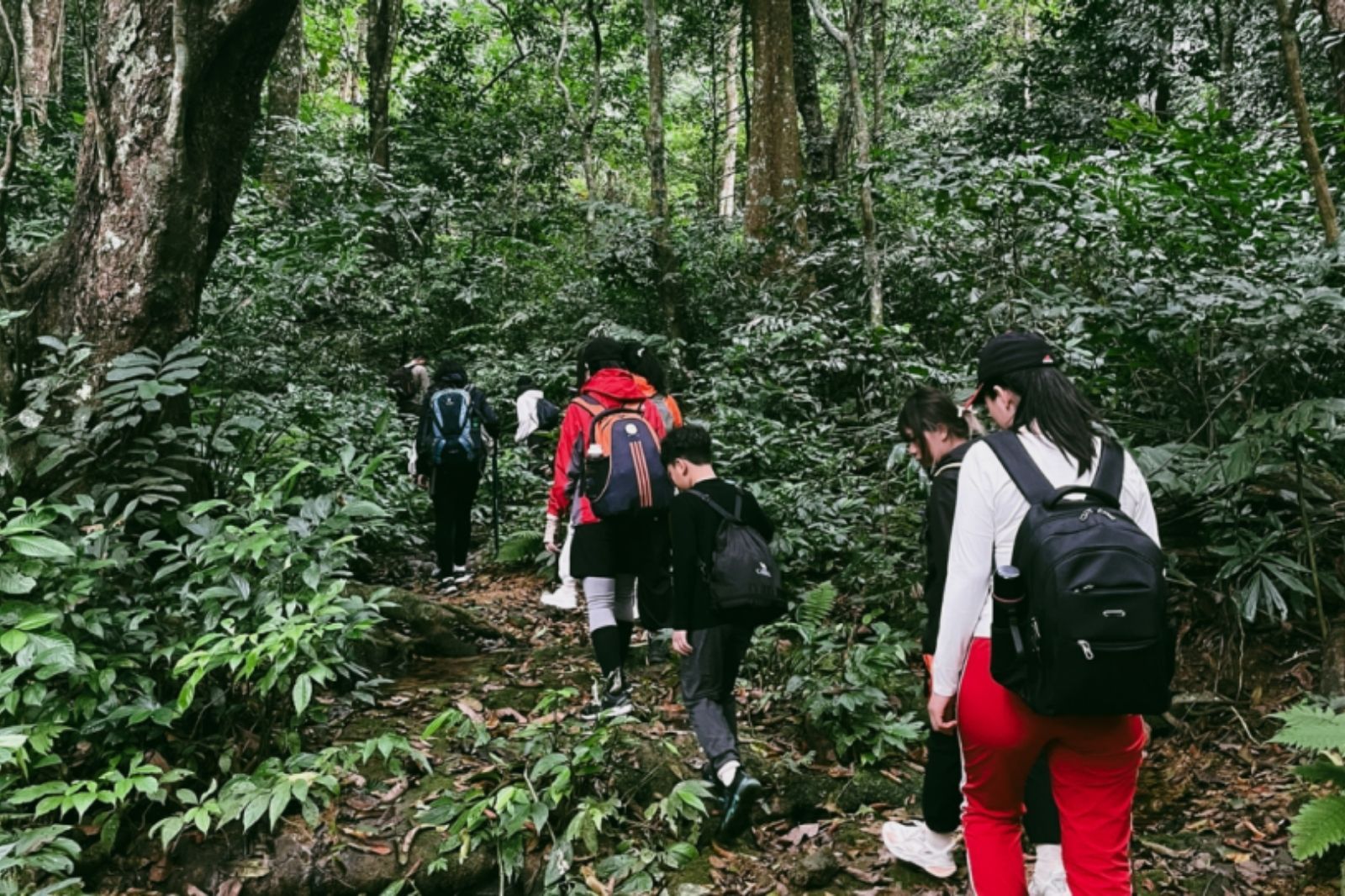 Trekking động Người xưa là một cung trekking ngắn  