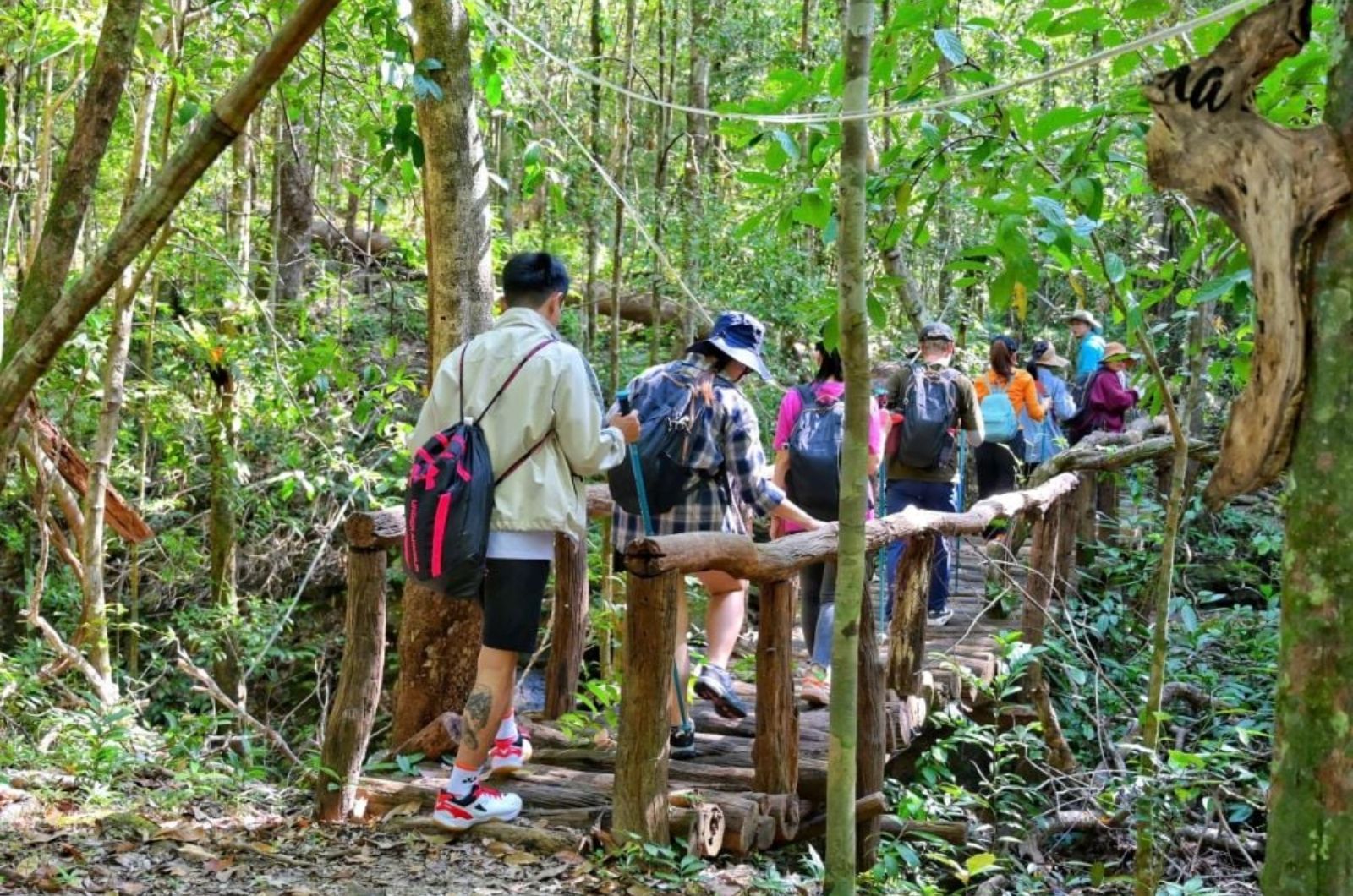 Trekking khám phá rừng ở Vườn Quốc gia Phú Quốc 