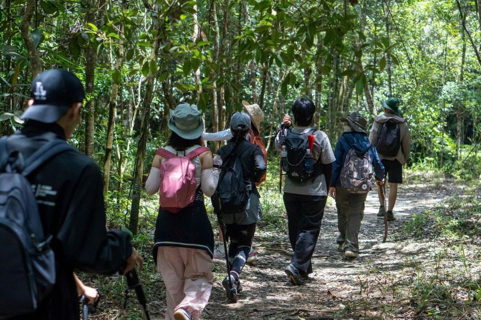 Trekking rừng Chò Đen