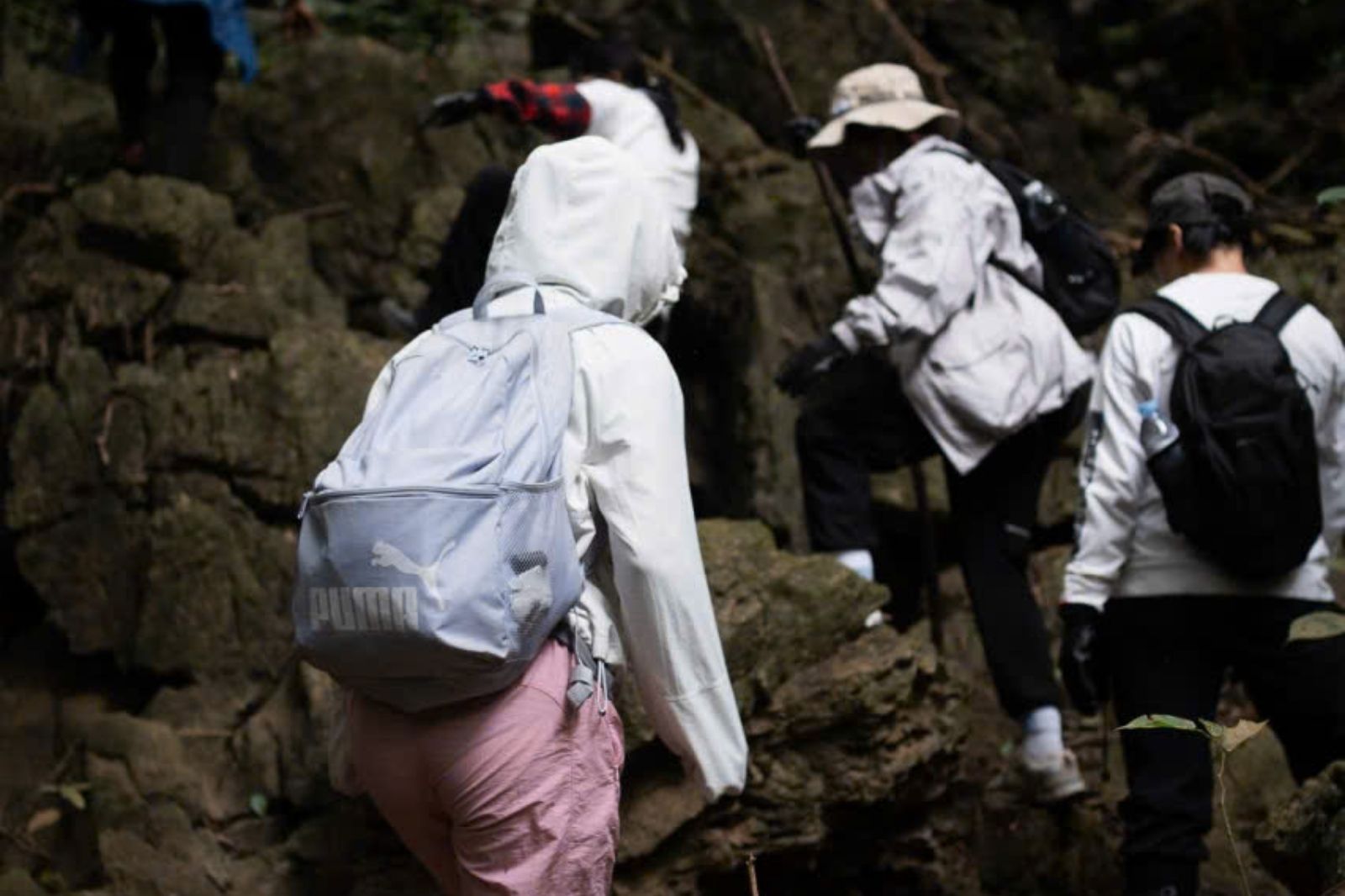 Trekking vườn quốc gia Cúc Phương 