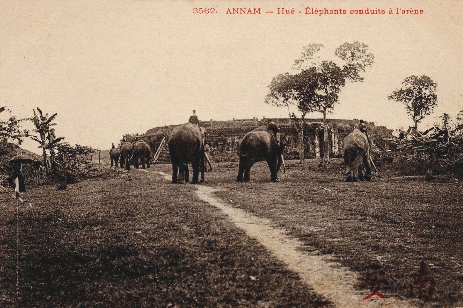 Tư liệu cũ ở đấu trường Hổ Quyền