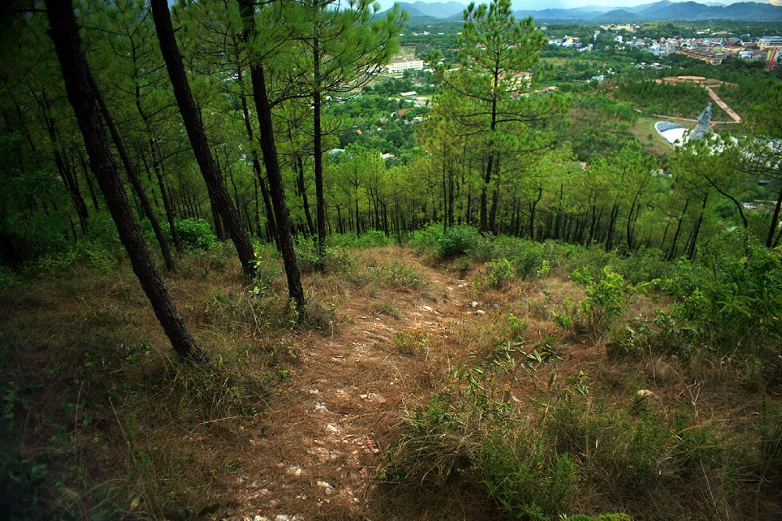 Ưu tiên mặc giày thể thao để dễ di chuyển