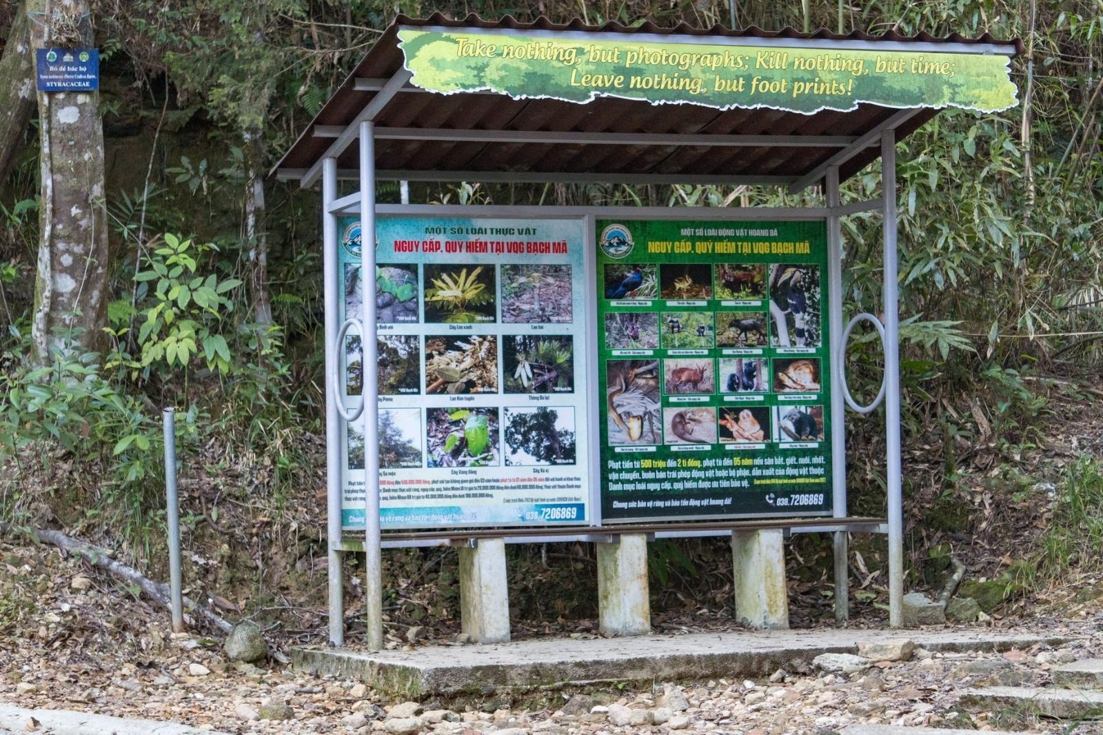 Vai trò quan trọng trong việc bảo tồn