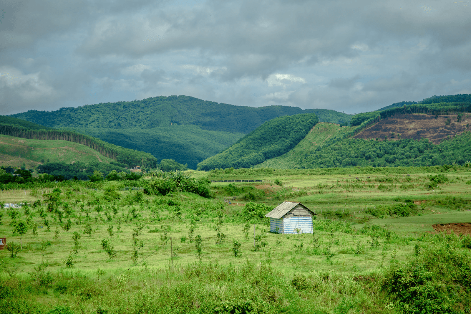 Vẻ đẹp hoang sơ bình yên