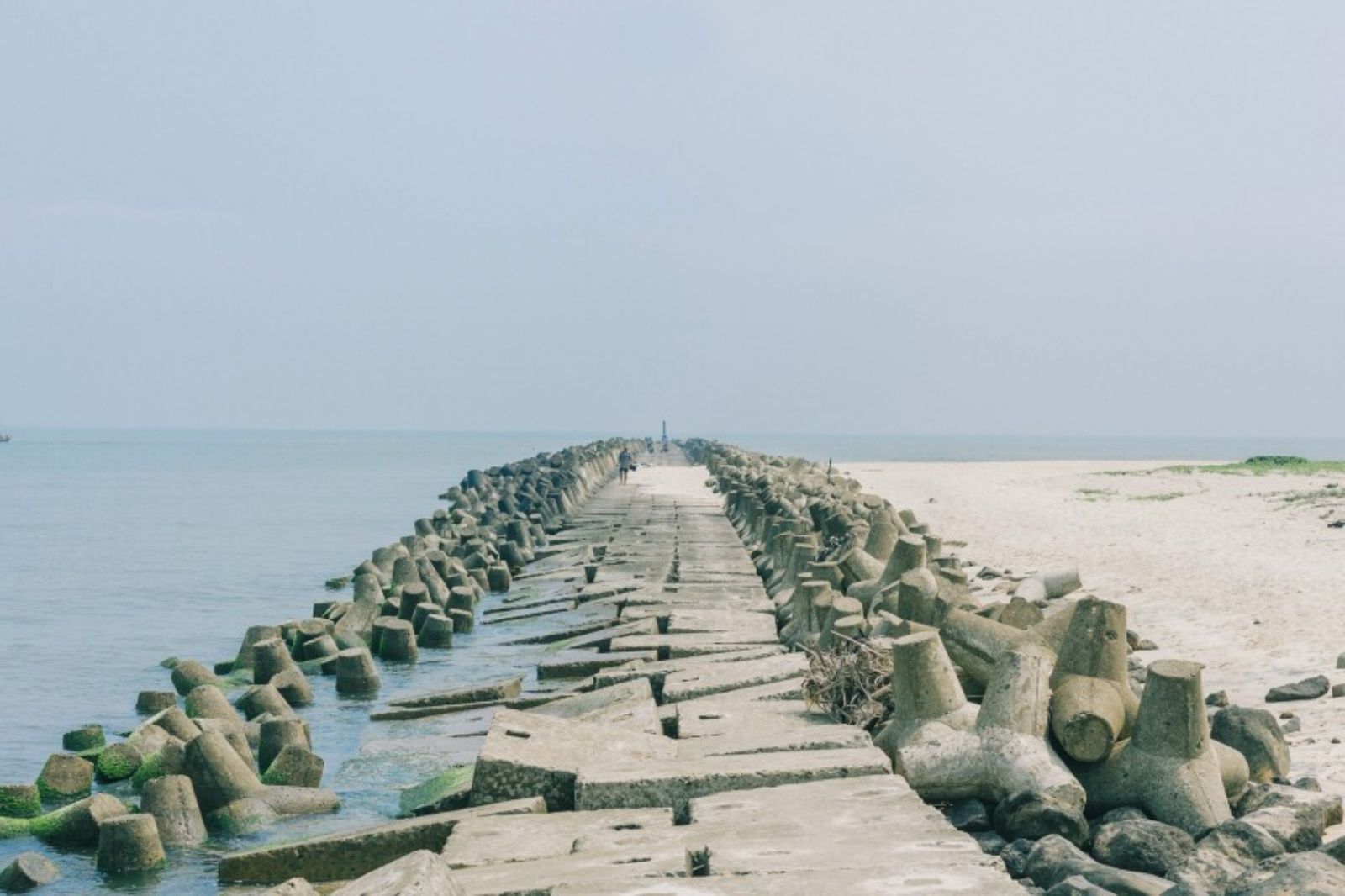 Vẻ đẹp hoang sơ của biển Cửa Tùng